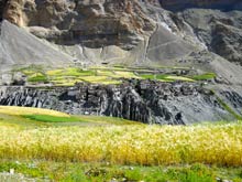 LE ZANSKAR, AUX SOMMETS DES GRANDEURS